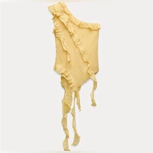 Zara Off the Shoulder Top